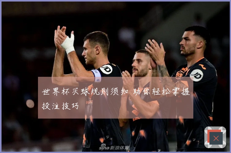 世界杯买球规则须知 助你轻松掌握投注技巧