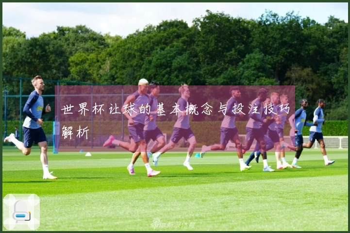 世界杯让球的基本概念与投注技巧解析