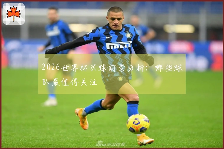 2026世界杯买球前景分析：哪些球队最值得关注