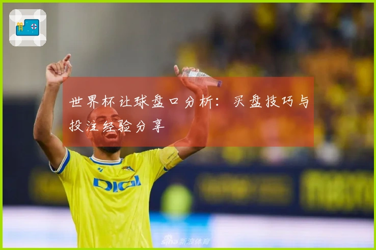 世界杯让球盘口分析：买盘技巧与投注经验分享